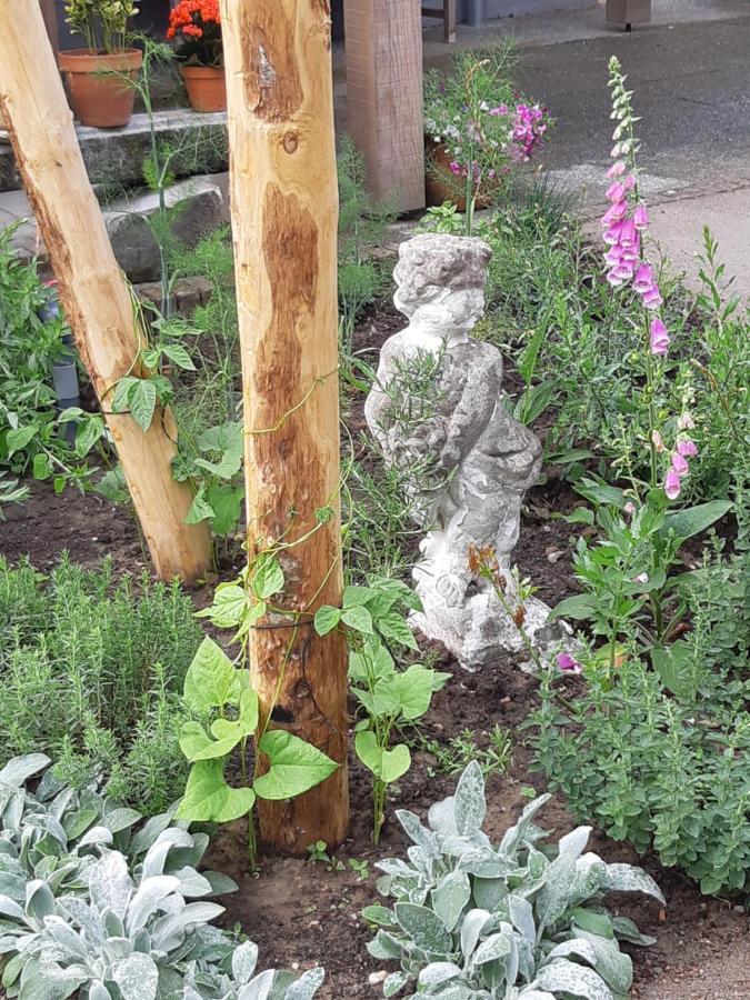 B&B Perron 22 Vierlingsbeek ภายนอก รูปภาพ