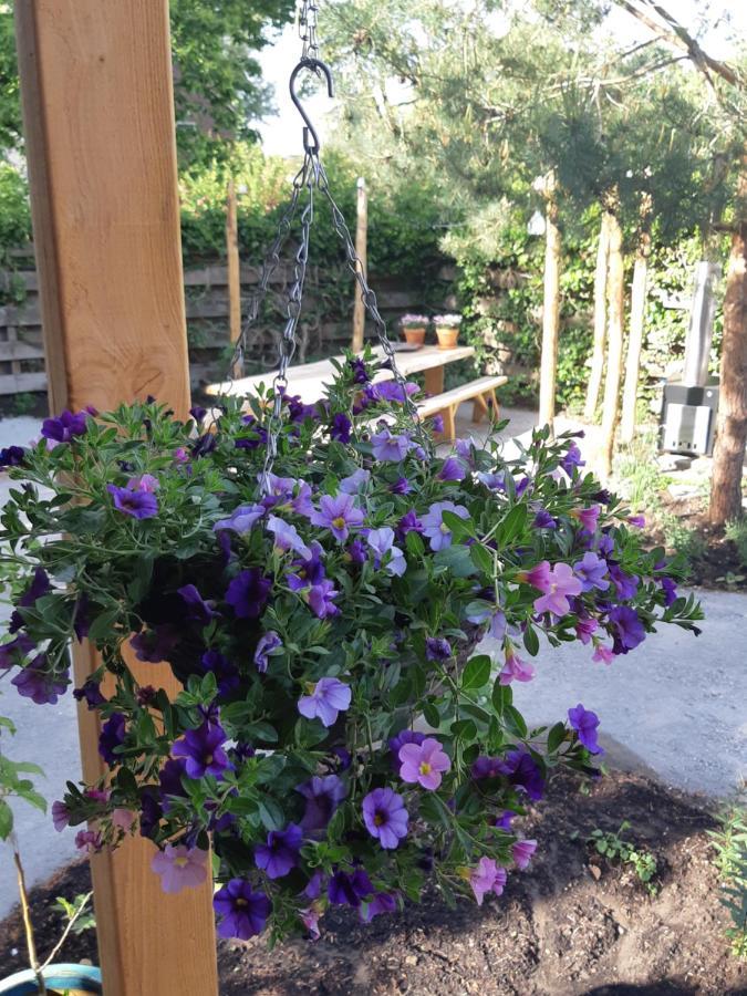 B&B Perron 22 Vierlingsbeek ภายนอก รูปภาพ
